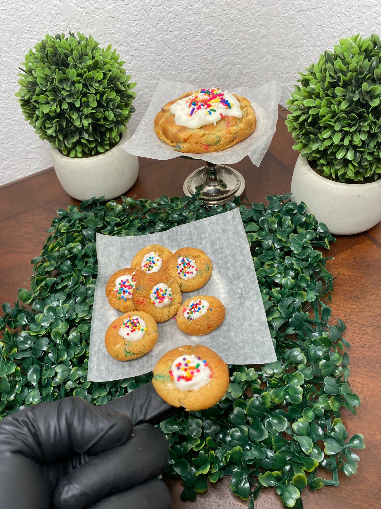 Mini Diego funfetti