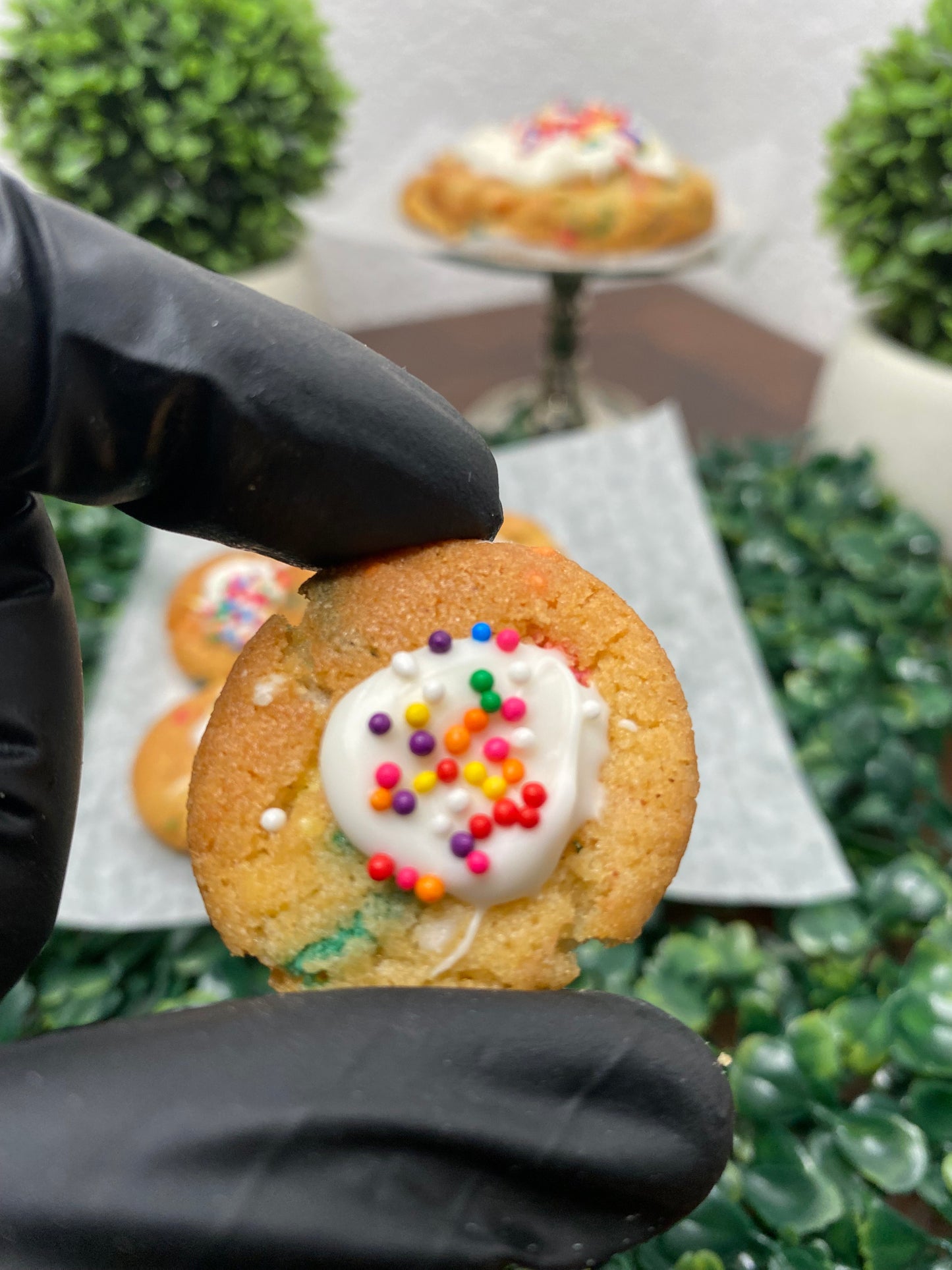 Mini Diego funfetti